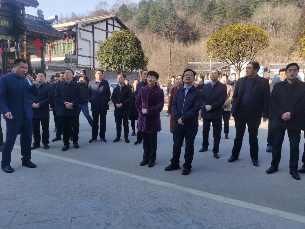 陕西佛坪县党政代表团来我区考察民宿发展工作