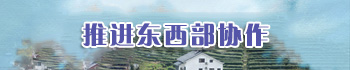 推进东西部协作
