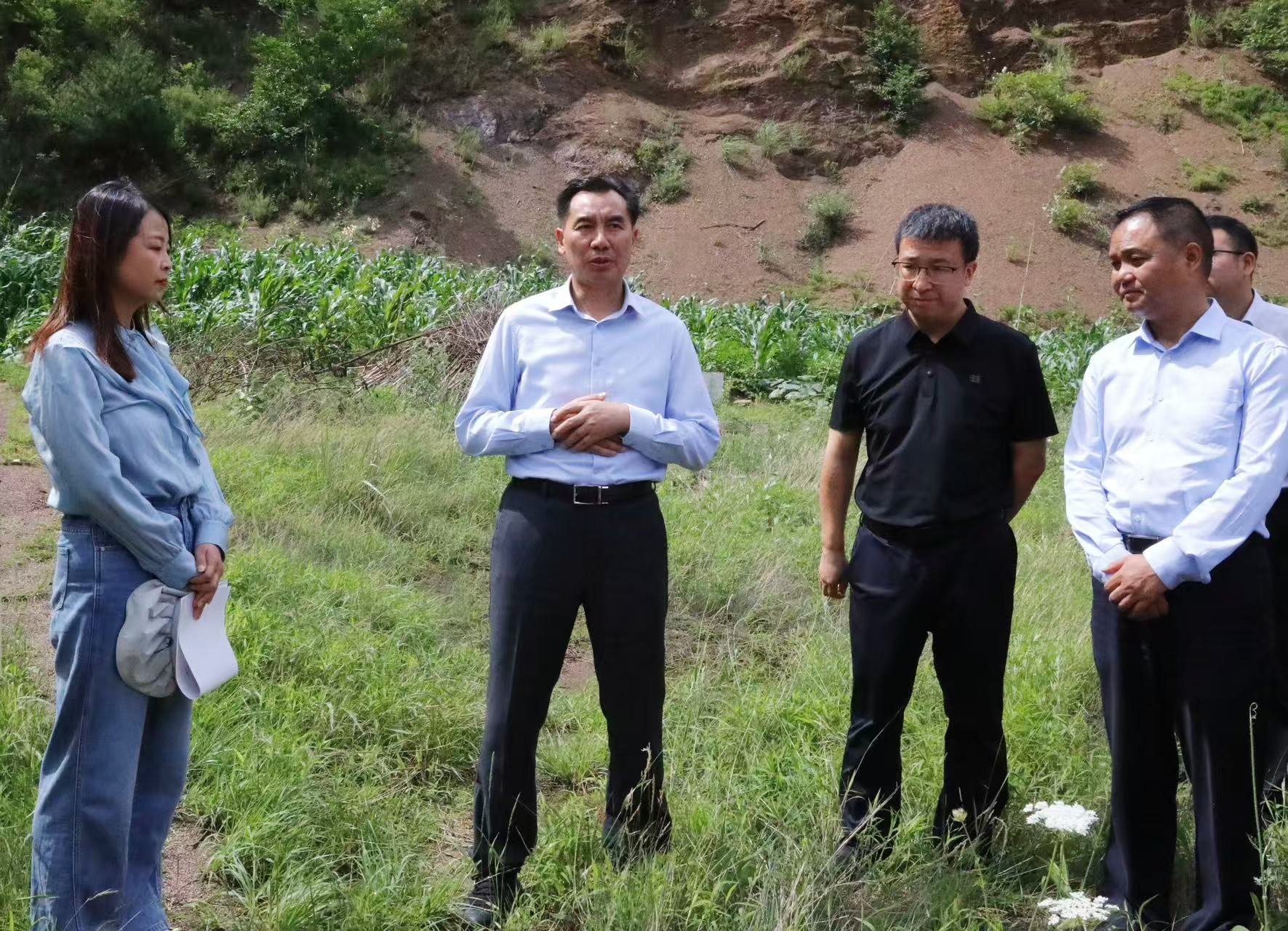 张骏督导调研重点项目建设工作
