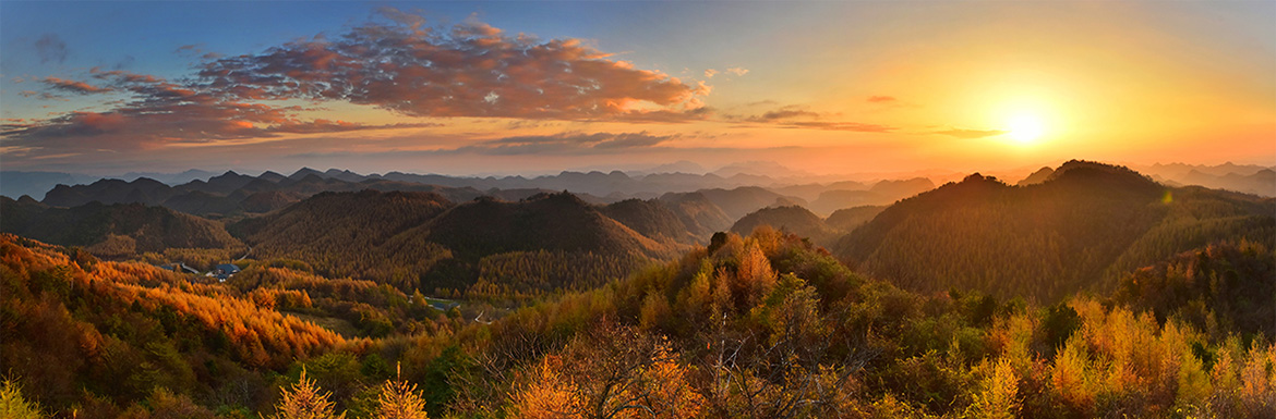 美景