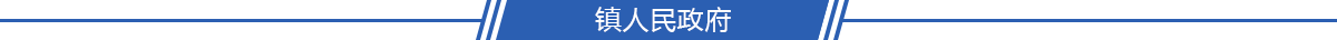 区（县）人民政府